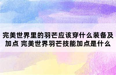 完美世界里的羽芒应该穿什么装备及加点 完美世界羽芒技能加点是什么